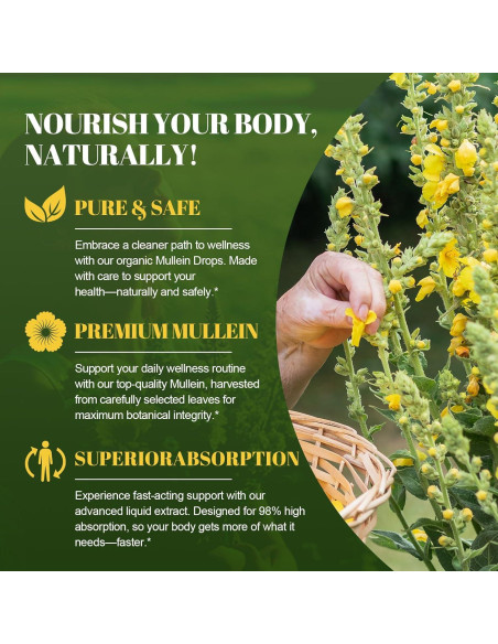 Gotas de Mullein 59 ml - Suplemento Herbal Respiratorio Natural Gotas de Mullein 59 ml - Suplemento Herbal Respiratorio Natural