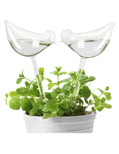 Esferas de Riego KiKiHeim 2 Aves Vidrio para Plantas