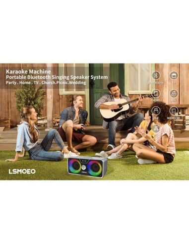 Máquina de Karaoke LSMOEO SD-317 con 2 Micrófonos UHF