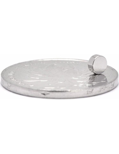 Imanes de Nevera FINDMAG 50 Pcs 6x2mm Antirayones Imanes de Nevera FINDMAG 50 Pcs 6x2mm Antirayones
