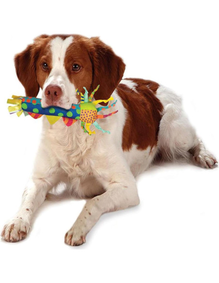 Stick de Dentición Frío Petstages para Perros - 23x13.5 cm Stick de Dentición Frío Petstages para Perros - 23x13.5 cm