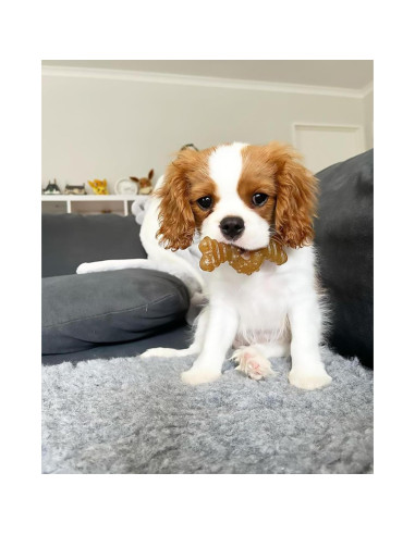Juguete de Masticar Nylabone para Cachorros Sabor Pollo