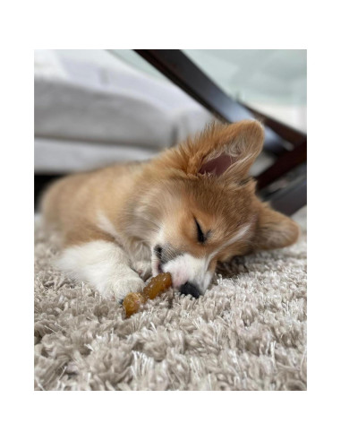 Juguete de Masticar Nylabone para Cachorros Sabor Pollo