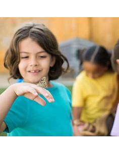 Kit Jardín de Mariposas Insect Lore con Orugas Vivas 2