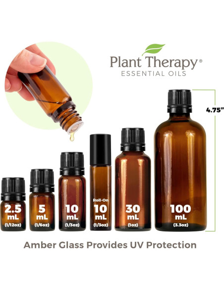 Aceite Esencial de Jengibre CO2 Orgánico 10 mL - Plant Therapy Aceite Esencial de Jengibre CO2 Orgánico 10 mL - Plant Therapy