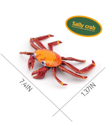 Figurita Cangrejo Hermitaño LC JoyCre 13 cm Juguete Realista Figurita Cangrejo Hermitaño LC JoyCre 13 cm Juguete Realista