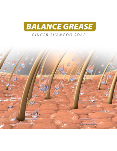 Champú Natural de Jengibre Orgánico 3PCS - Anti Pérdida de Cabello