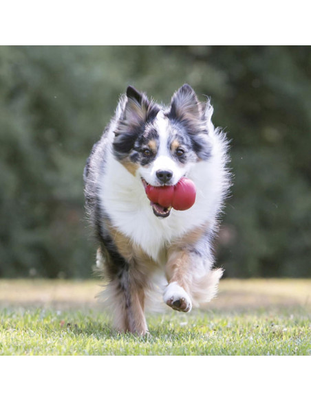 KONG Classic Juguete Rellenable para Perros Medianos - Caucho Duradero KONG Classic Juguete Rellenable para Perros Medianos - Caucho Duradero