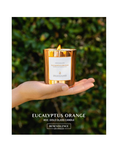 Vela Aromática de Soya Benevolence LA Eucalipto Naranja 226g