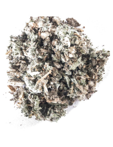 Hierba de Horehound Seco Smoke Camp Crafts 28.35 g para Té