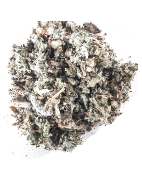 Hierba de Horehound Seco Smoke Camp Crafts 28.35 g para Té Hierba de Horehound Seco Smoke Camp Crafts 28.35 g para Té
