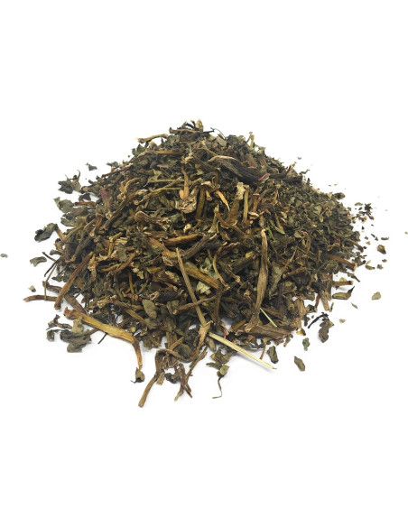 Verdolaga Seco 30g - 100% Natural, Vegano, Hecho en Alemania Verdolaga Seco 30g - 100% Natural, Vegano, Hecho en Alemania
