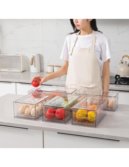 Organizadores de Refrigerador Shopwithgreen 2 Medianos 3.7L Organizadores de Refrigerador Shopwithgreen 2 Medianos 3.7L