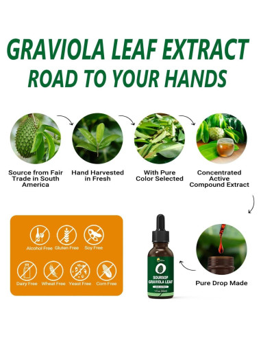 Extracto Líquido de Hoja de Graviola Orgánica KingHealth 29.57 ml