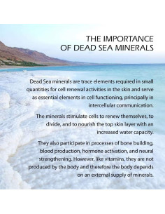 Sal Mineral del Mar Muerto Eucalipto 70.87 g - Paquete de 6 2