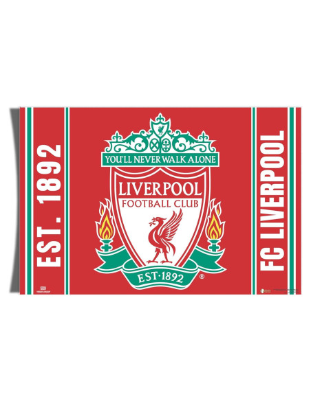 Póster Premium Liverpool FC Cactus del Desierto 91x61 cm Póster Premium Liverpool FC Cactus del Desierto 91x61 cm