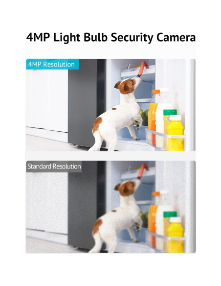 Cámara de Seguridad LaView 4MP Inalámbrica 360 para Interior y Exterior Cámara de Seguridad LaView 4MP Inalámbrica 360 para Interior y Exterior