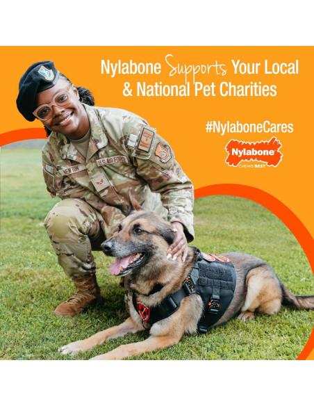 Hueso de Masticar Texturizado Nylabone para Cachorros - Sabor Pollo, Pequeño hasta 6.8 kg Hueso de Masticar Texturizado Nylabone para Cachorros - Sabor Pollo, Pequeño hasta 6.8 kg