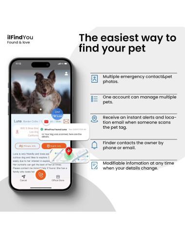 Etiqueta de ID de Perro ILFINDYOU con Código QR Personalizada