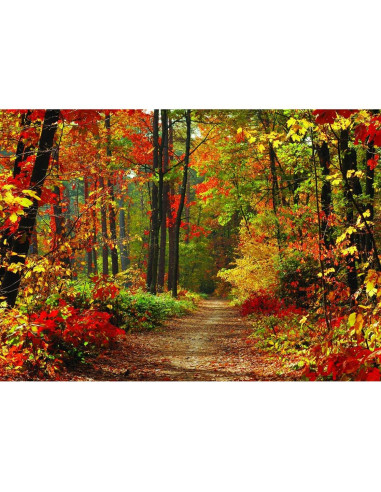 Fondo Fotográfico Vinilo 240x180cm Otoño LYWYGG CP-67-0806