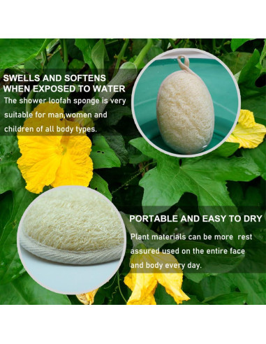 Esponjas de Lufa Natural TEXNINC - Paquete de 2 Exfoliantes