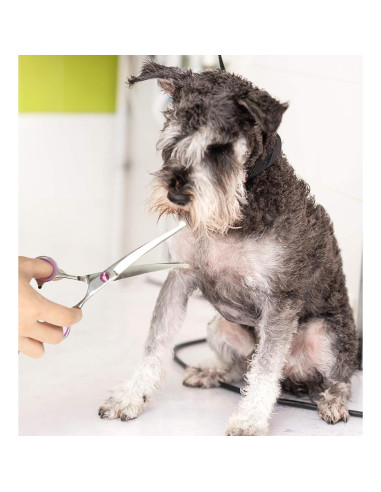 Tijeras de Peluquería para Perros Petsvv Curvadas 19.05 cm
