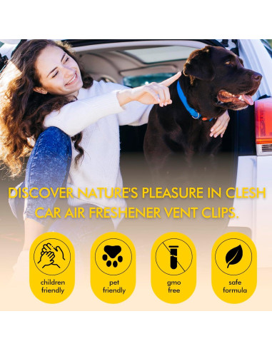 Ambientadores de Coche CLESH - Paquete de 6 Clips Cítricos