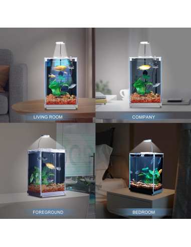 Acuario de escritorio 10.2L Wonderfactory con filtro oculto