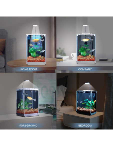Acuario de escritorio 10.2L Wonderfactory con filtro oculto Acuario de escritorio 10.2L Wonderfactory con filtro oculto