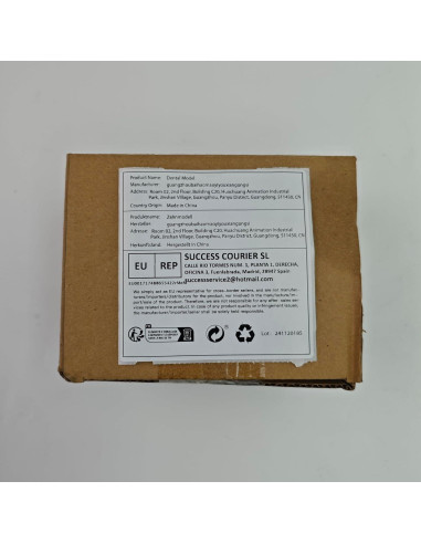 Modelo Dental Ampliado 2X Ultrassist con Cepillo de Dientes
