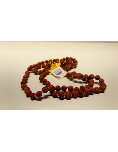 Mala de Rudraksha 5 Mukhi Certificada 108+1 Cuentas 5mm