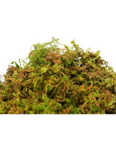 Musgo Sphagnum Seco SuperMoss 23820 1.5L Verde Natural 2
