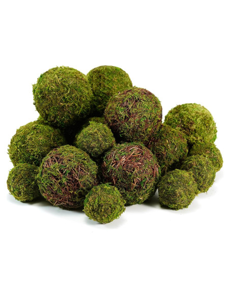 Conjunto de 18 Bolas de Musgo Decorativas BYHER - Verde Conjunto de 18 Bolas de Musgo Decorativas BYHER - Verde