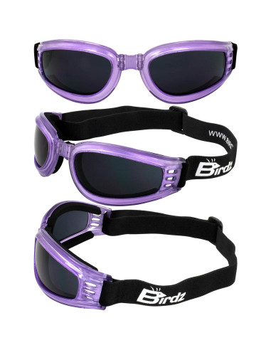 Gafas de Motocicleta Birdz Cardinal para Mujeres - 2 Pares Moradas