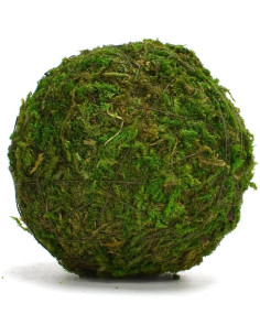 Bolas Decorativas de Musgo Natural BYHER - Set de 12 (5.08 cm) 2