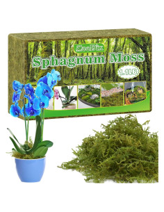 Musgo Sphagnum Premium Zeedix 0.5 KG para Orquídeas y Sustratos