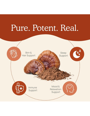 Polvo de Reishi Real Mushrooms 100g - Suplemento Orgánico Vegano