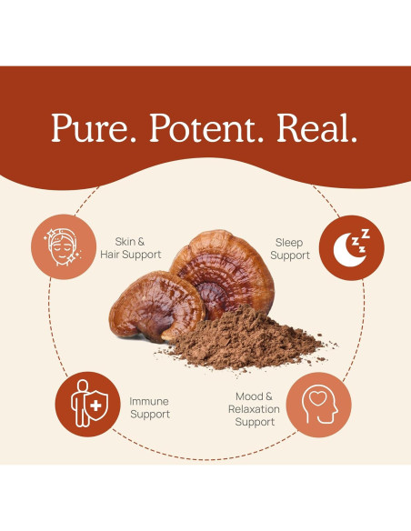 Polvo de Reishi Real Mushrooms 100g - Suplemento Orgánico Vegano Polvo de Reishi Real Mushrooms 100g - Suplemento Orgánico Vegano