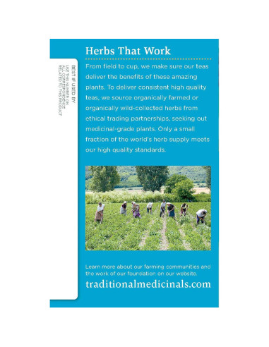 Té de Hierbas Orgánico EveryDay Detox Traditional Medicinals 16 Bolsas