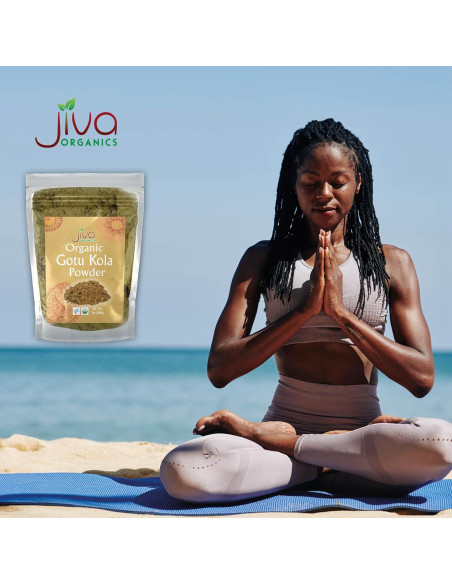 Polvo de Gotu Kola Orgánico Jiva Organics 200g - Sin Aditivos Polvo de Gotu Kola Orgánico Jiva Organics 200g - Sin Aditivos