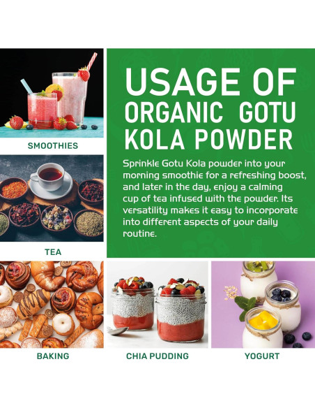 Polvo de Gotu Kola Orgánico Jiva Organics 200g - Sin Aditivos Polvo de Gotu Kola Orgánico Jiva Organics 200g - Sin Aditivos