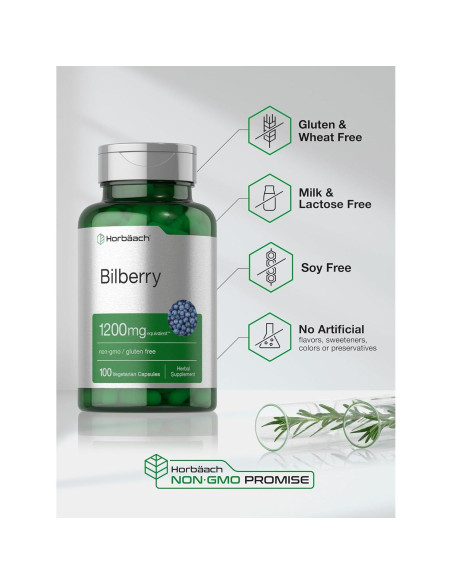 Extracto de Arándano 1200mg Horbaach | 100 Cápsulas Vegetarianas Extracto de Arándano 1200mg Horbaach | 100 Cápsulas Vegetarianas
