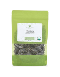 Hojas Secas de Plátano Orgánicas Biokoma 50g - Té Herbal Natural
