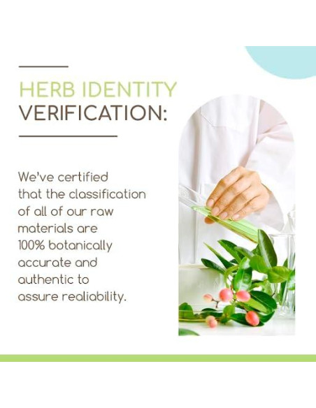 Cápsulas de Boldo 500 mg HerbEra - 60 Unidades Naturales Cápsulas de Boldo 500 mg HerbEra - 60 Unidades Naturales