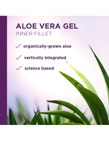 Gel de Aloe Vera Lirio del Desierto 946 ml - Salud Digestiva