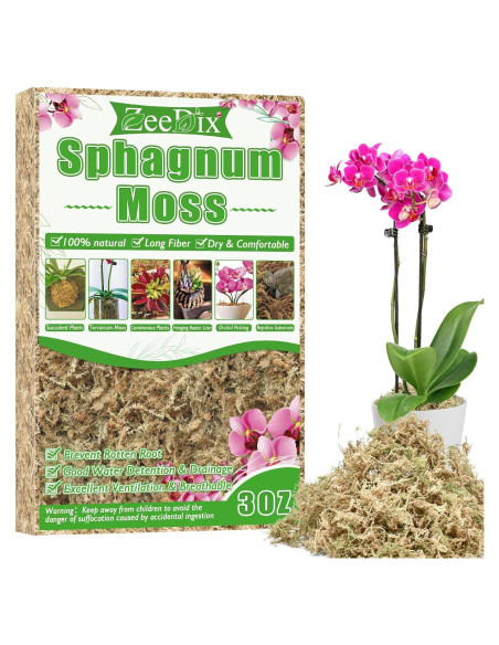 Musgo Sphagnum Premium ZeeDix 85 g para Jardinería y Terrarios Musgo Sphagnum Premium ZeeDix 85 g para Jardinería y Terrarios