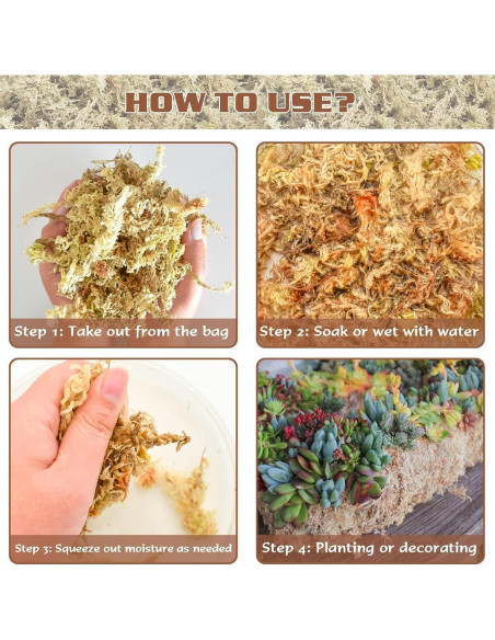 Musgo Sphagnum Premium ZeeDix 85 g para Jardinería y Terrarios Musgo Sphagnum Premium ZeeDix 85 g para Jardinería y Terrarios