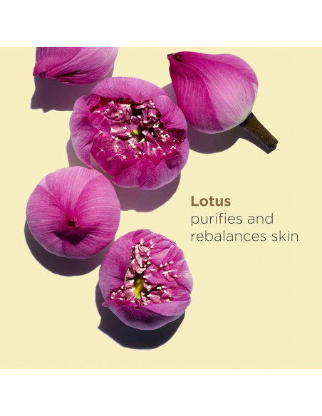 Aceite Facial Lotus Clarins 30ml | Hidrata y Equilibra Piel Grasa Aceite Facial Lotus Clarins 30ml | Hidrata y Equilibra Piel Grasa