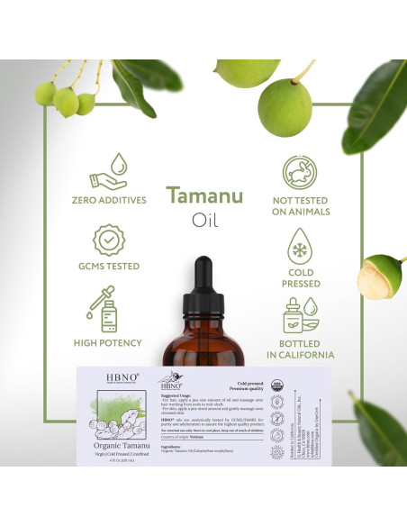 Aceite de Tamanu Orgánico HBNO 120ml Prensado en Frío Aceite de Tamanu Orgánico HBNO 120ml Prensado en Frío