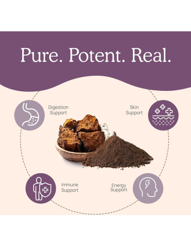 Polvo de Hongo Chaga Orgánico Real Mushrooms 150g - Energía y Bienestar